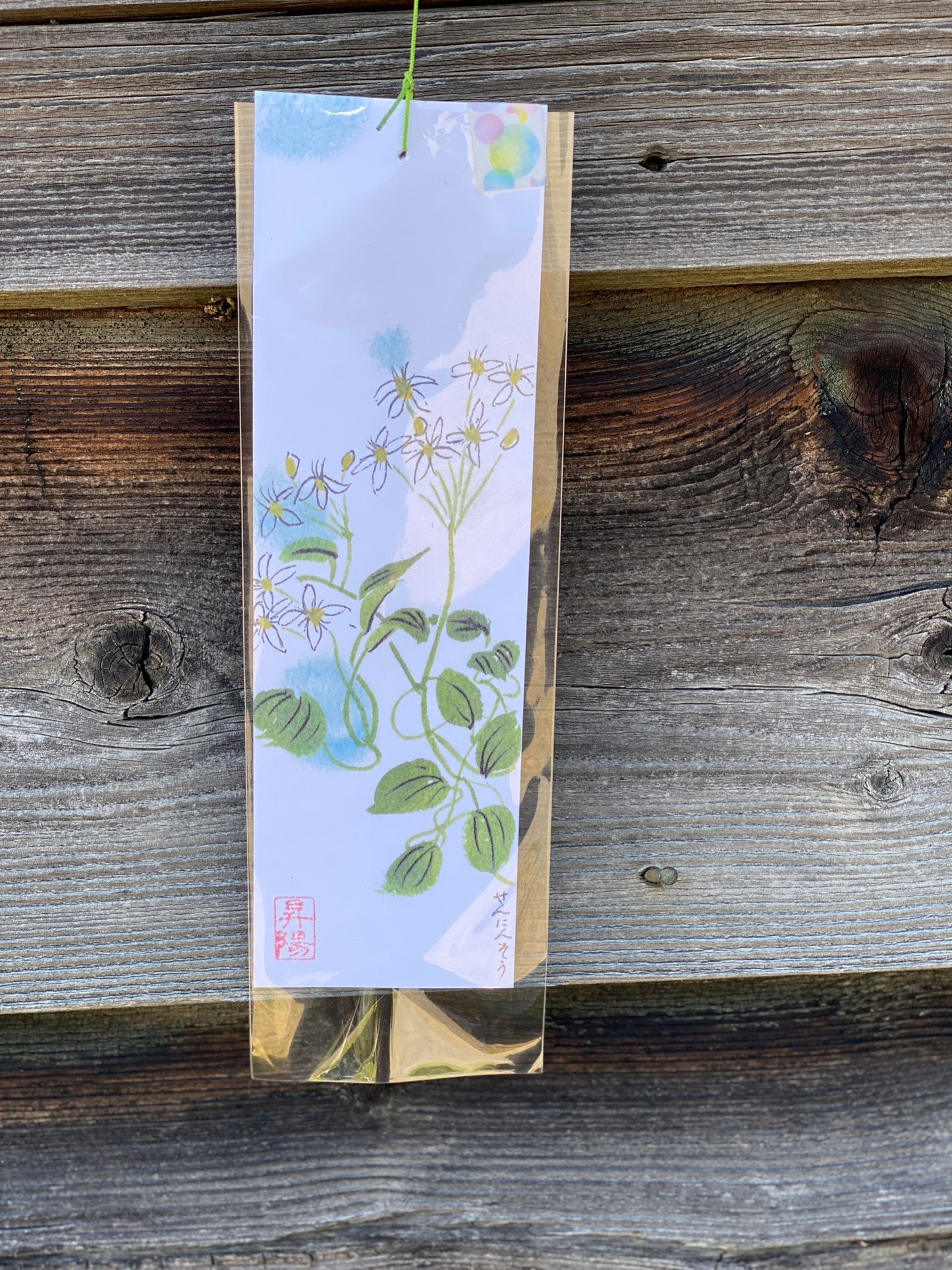 Japanese Wind Chimes | Furin