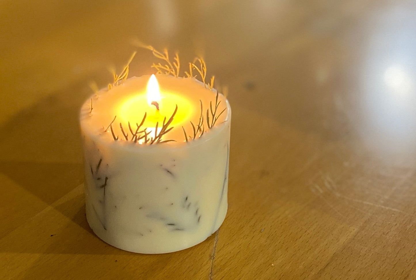 grevillea / botanical candle range