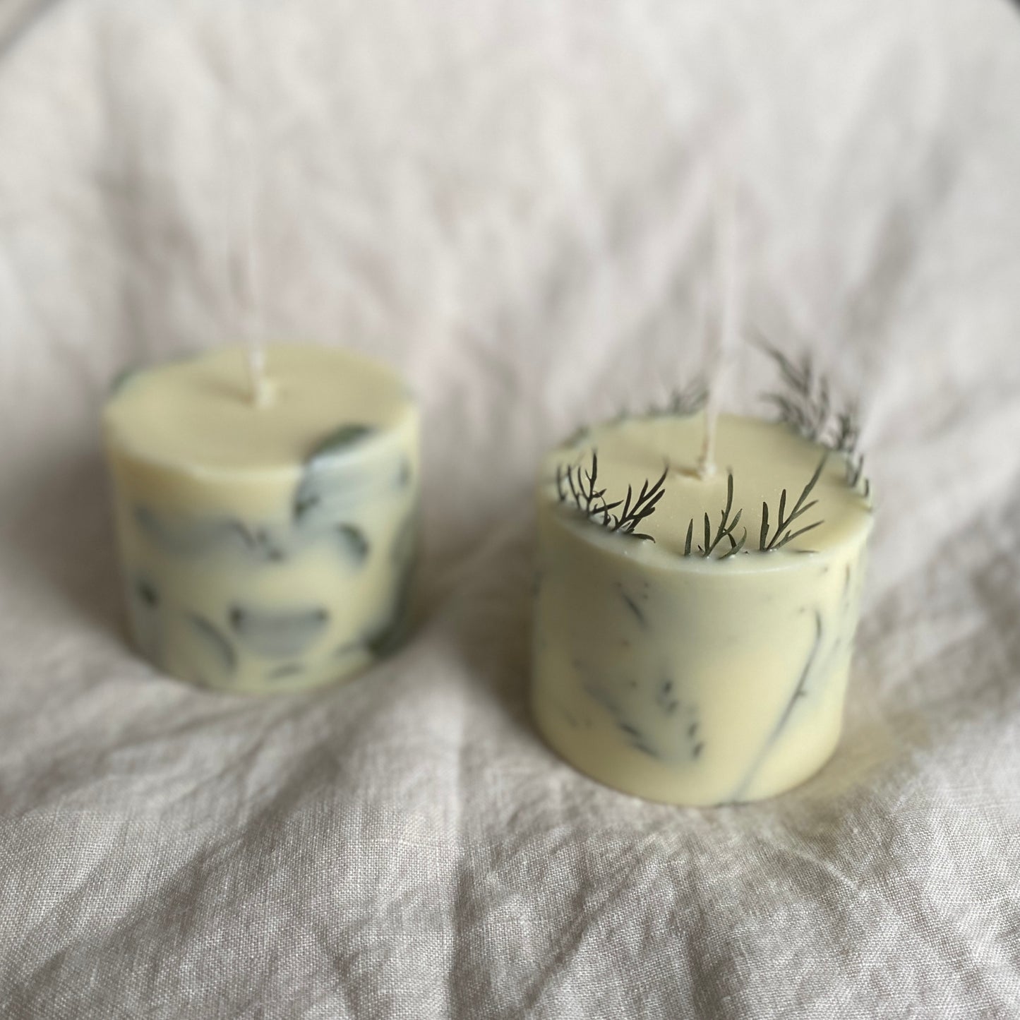 grevillea / botanical candle range