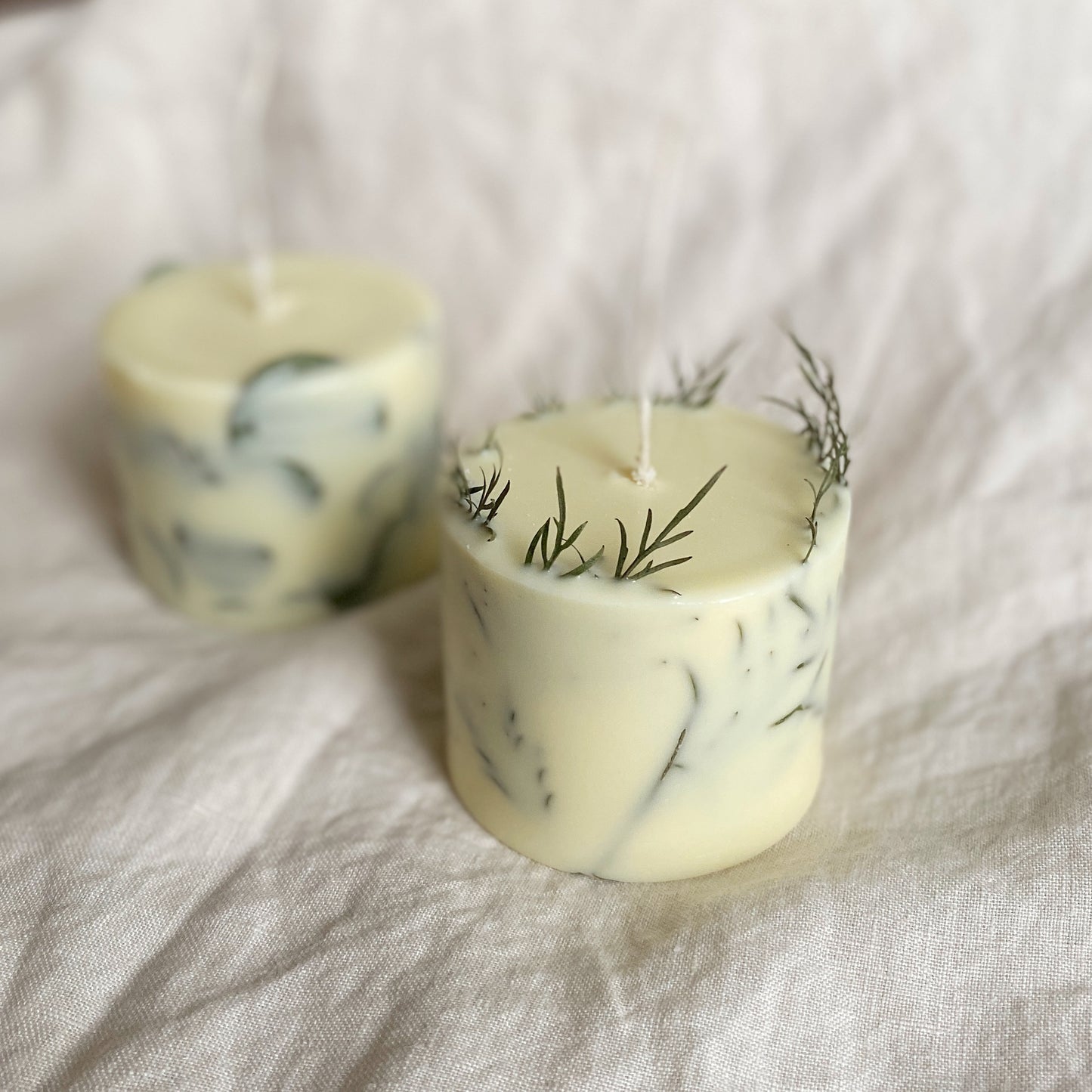 grevillea / botanical candle range