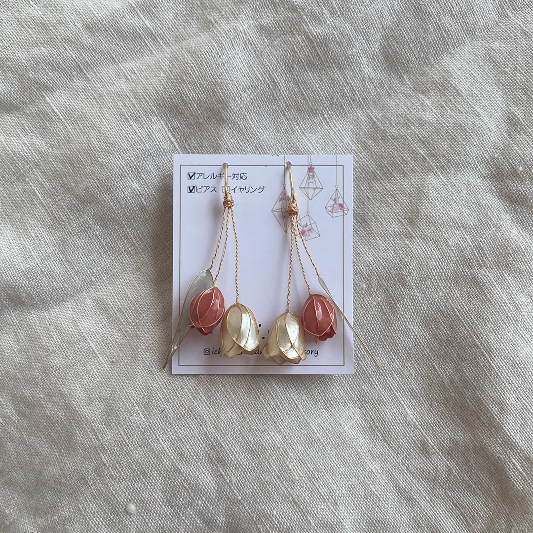 Tulips- two stems